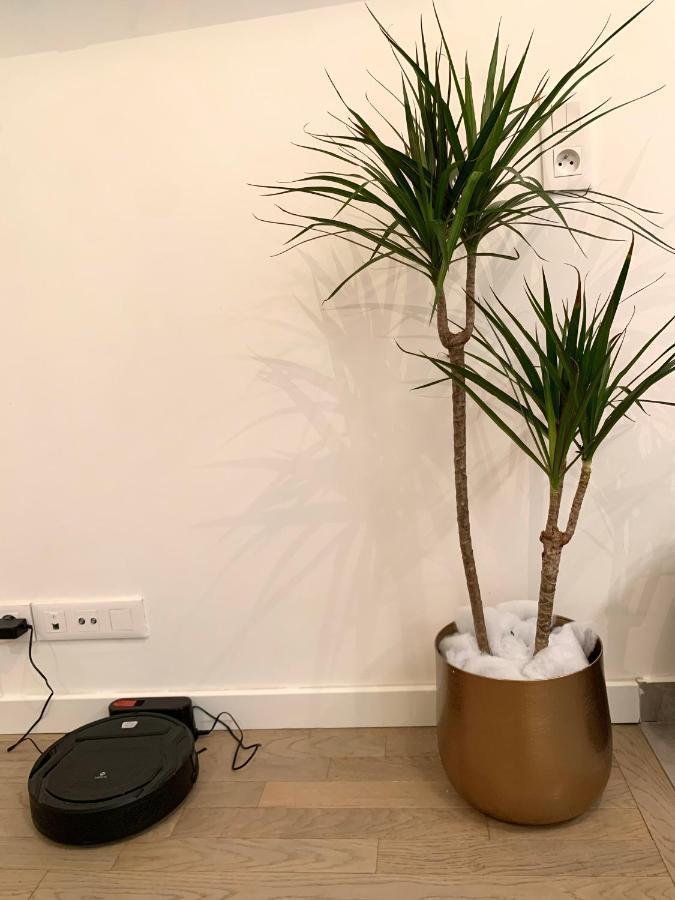 Le Bali Cosy House - T2 Lumineux Et Moderne En Plein Centre Ville De 매종알포르트 외부 사진